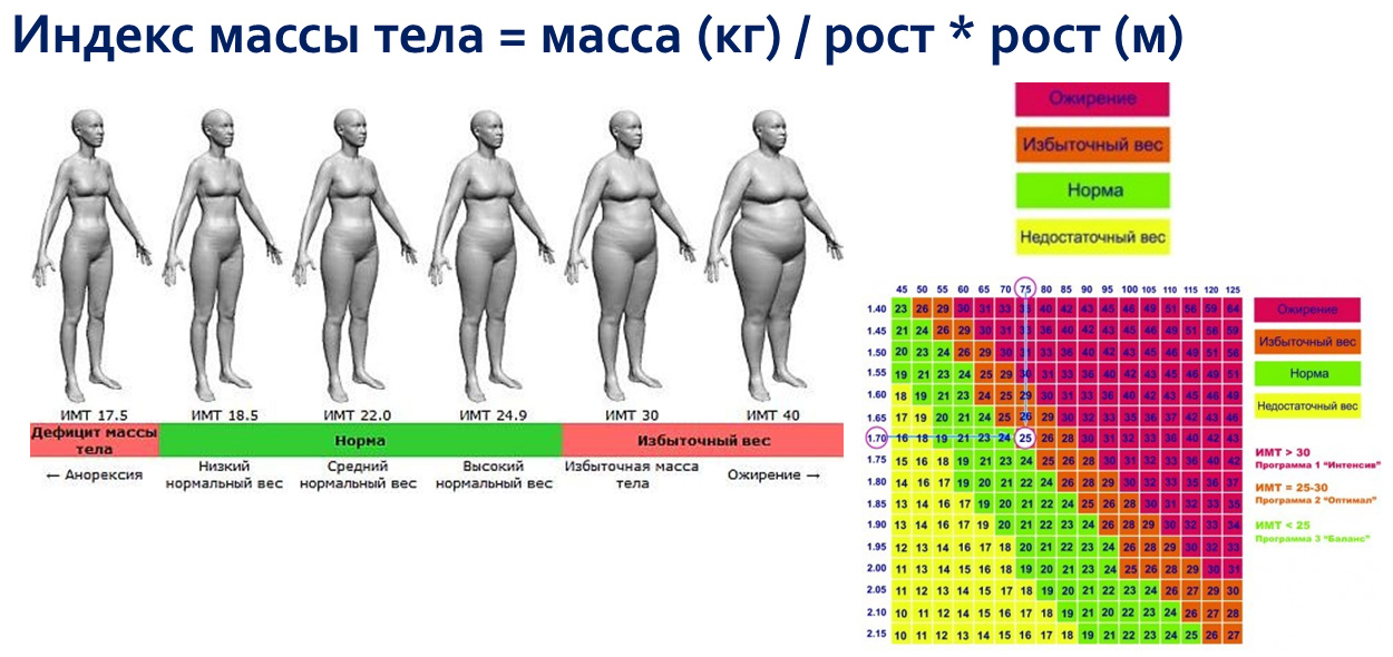 Лишний Вес Индекс Массы Тела